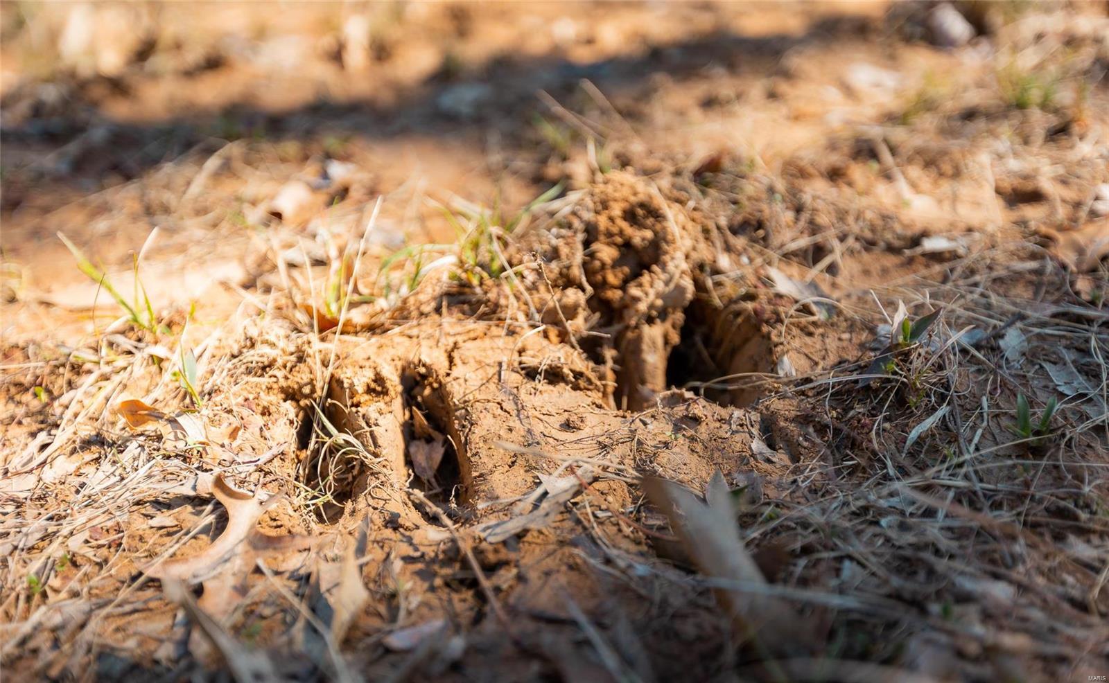 0 County Road 1117 Madison, MO 65263 - Photo 8 of 11