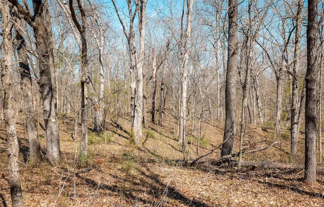 $859,000 | 0 County Road 1117, Madison, MO 65263