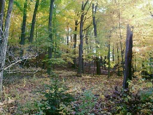 Lot 1 Redgate Road Sewickley, PA 15143 - Photo 1 of 1 Gallery Image 1