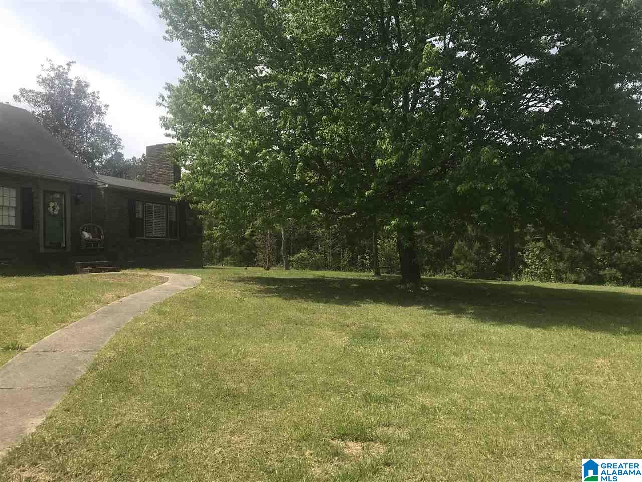 136 Valley View Drive Oneonta, AL 35121 - Photo 3 of 33