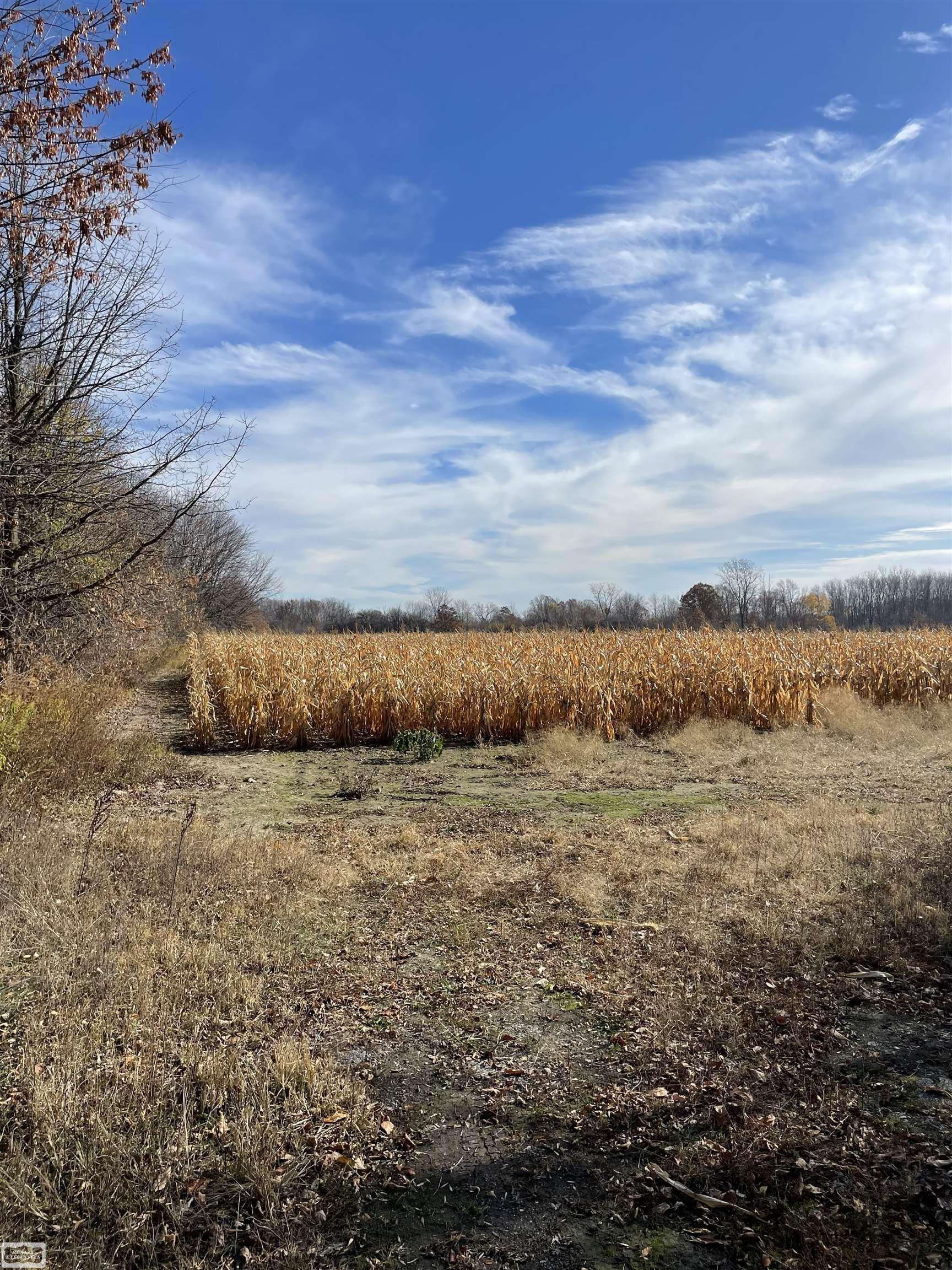 0 Kinney Road Emmett, MI 48022 - Photo 4 of 8