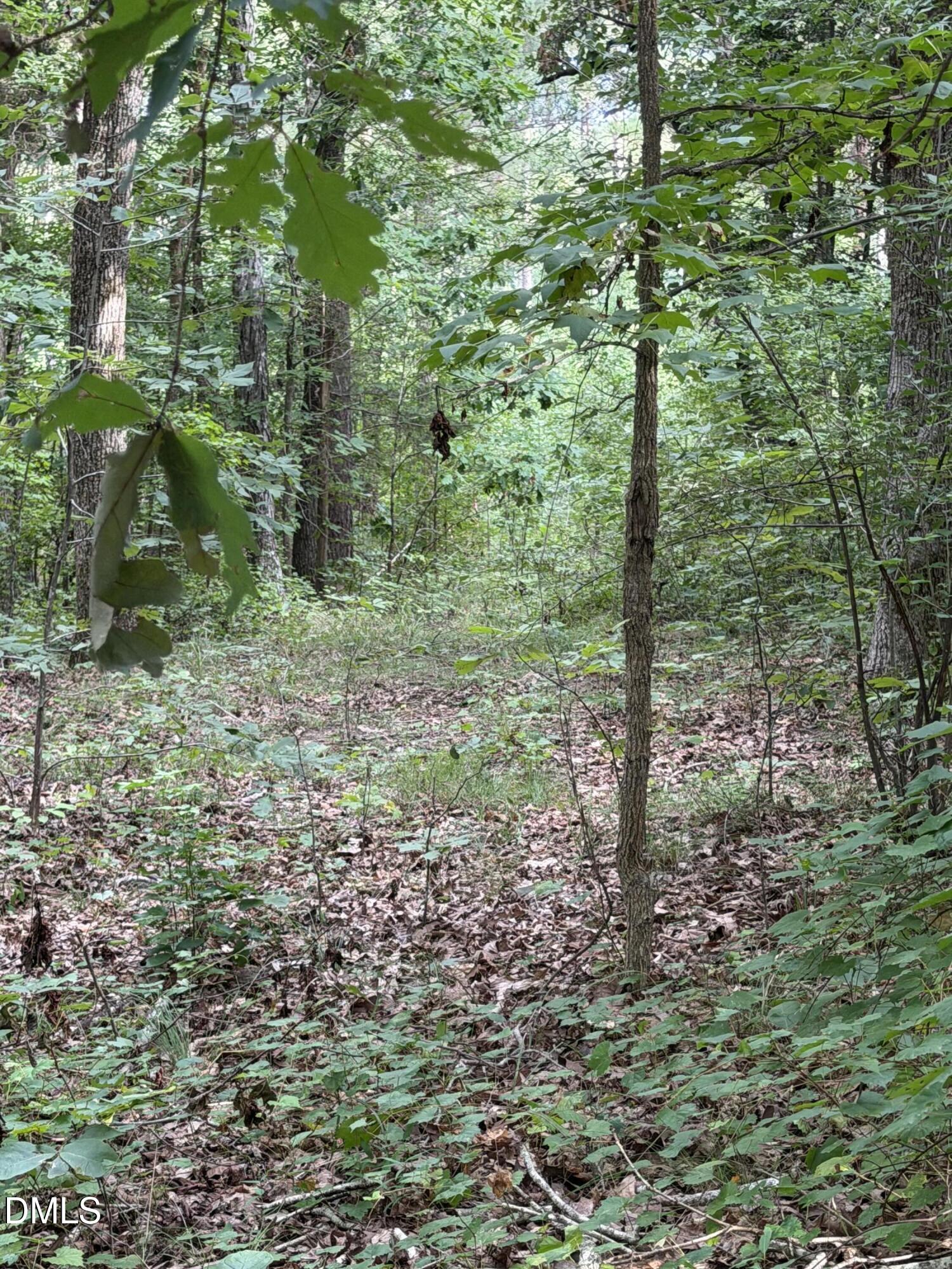 0 Chatham Church Road Moncure, NC 27559 - Photo 16 of 17 IMG_8916