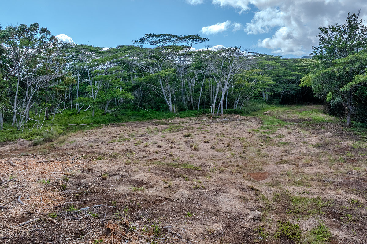 3310 Wawae Road Kalaheo, HI 96741 - Photo 8 of 30