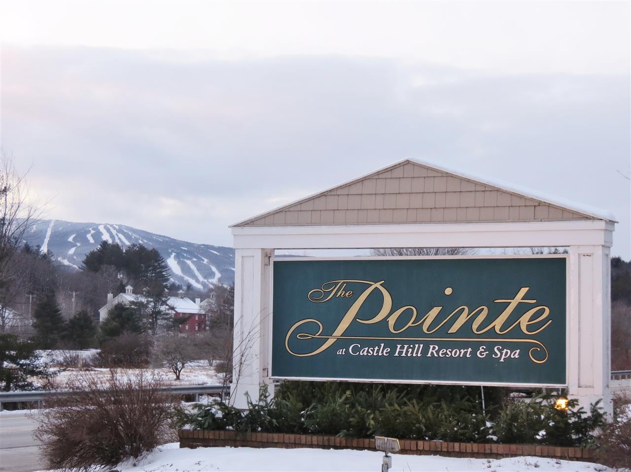 2940 103rd Route, Unit 260 Cavendish, VT 05142 - Photo 34 of 37