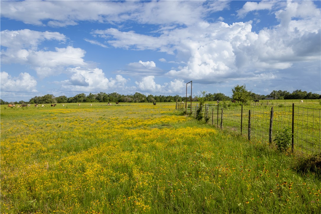10102 Ferrill Creek Road Bryan, TX 77808 - Photo 9 of 29