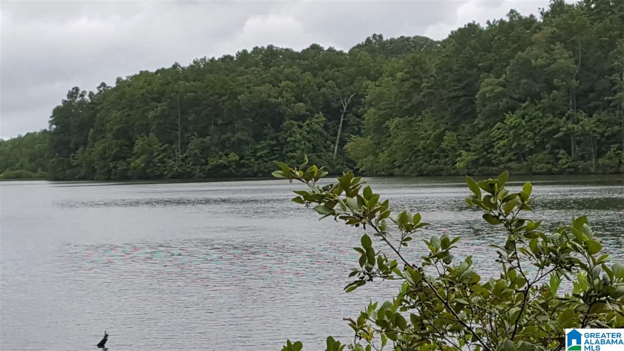 11-acres Deer Run Road, Unit 148330000001 010 Alabaster, AL 35007 - Photo 16 of 34