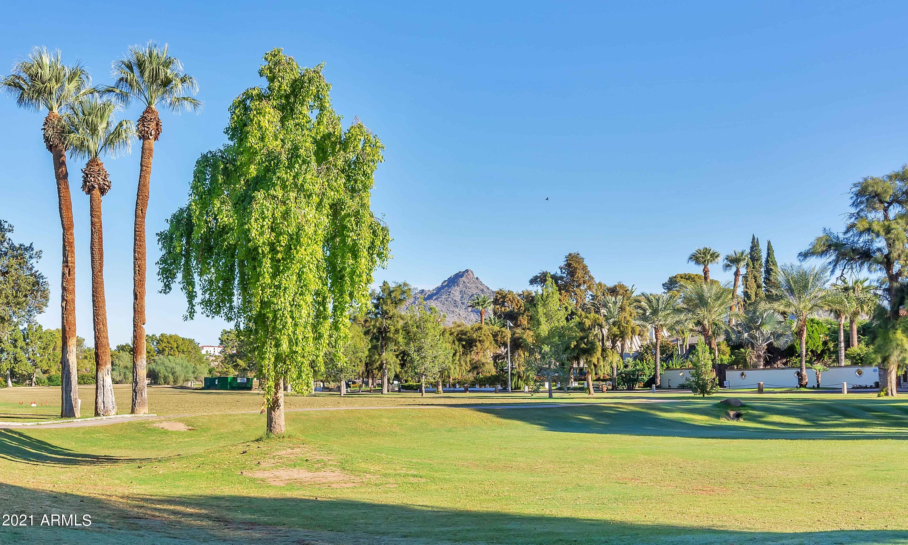 5221 North 24th Street, Unit 106 Phoenix, AZ 85016 - Photo 15 of 20 a view of a swimming pool with a yard