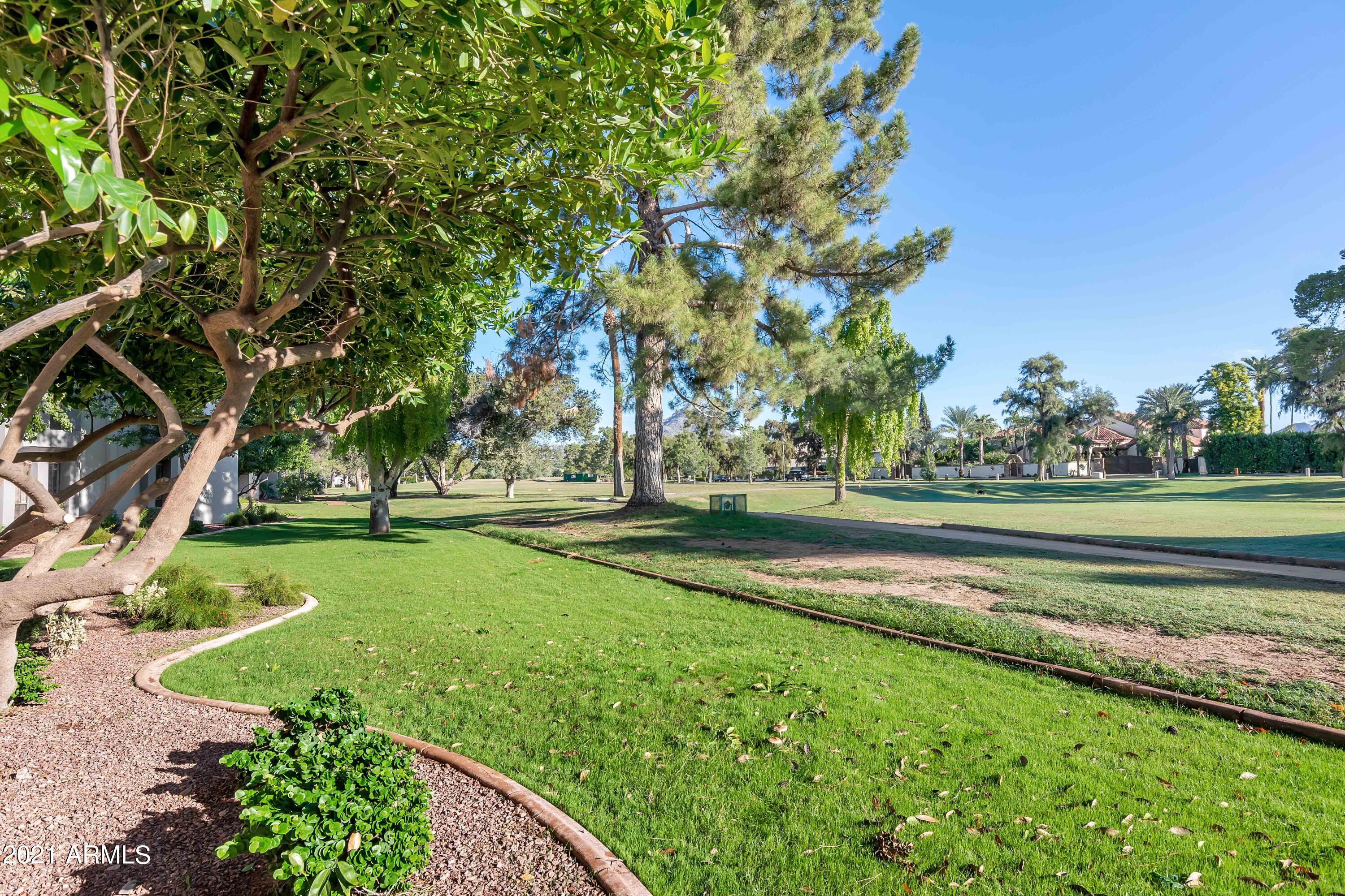 5221 North 24th Street, Unit 106 Phoenix, AZ 85016 - Photo 16 of 20 a view of a yard with large trees