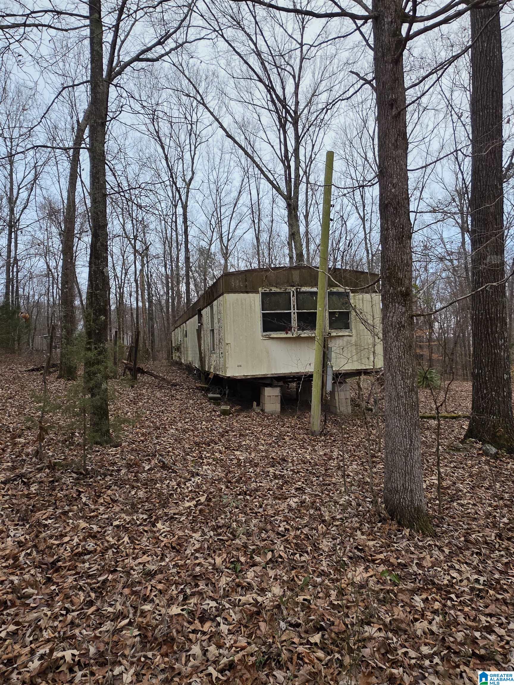 322 Tucker Road Talladega, AL 35160 - Photo 12 of 21