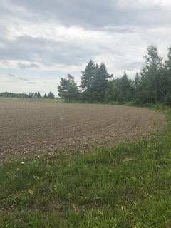 16125 Reider School Road Lachine, MI 49753 - Photo 36 of 44 Gallery Image 36