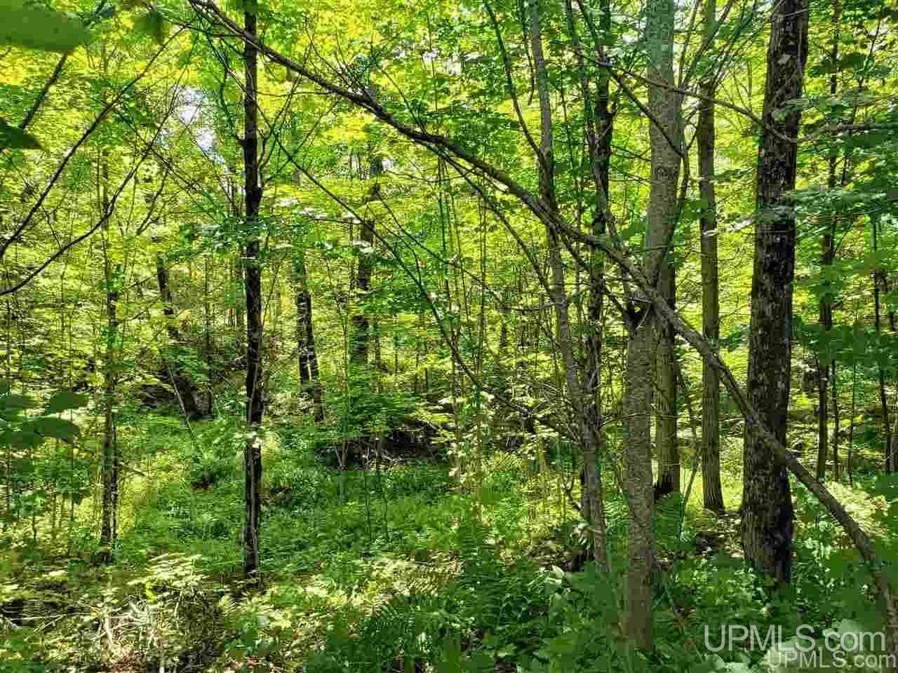 22540 Peterson Road Nisula, MI 49952 - Photo 39 of 39 Gallery Image 39
