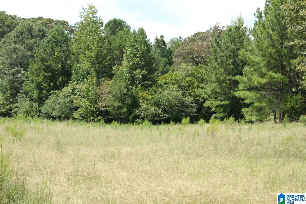 2020 Church Road, Unit 1 Pell City, AL 35128 - Photo 5 of 6