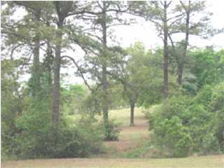2344 Juniper Lake Road DeFuniak Springs, FL 32433 - Photo 1 of 1 Gallery Image 1