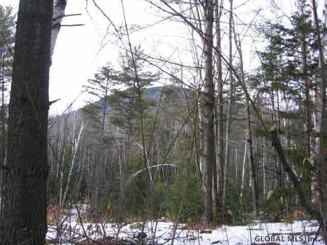 Ski Hi Road Johnsburg, NY 12843 - Photo 1 of 1 Photo 1
