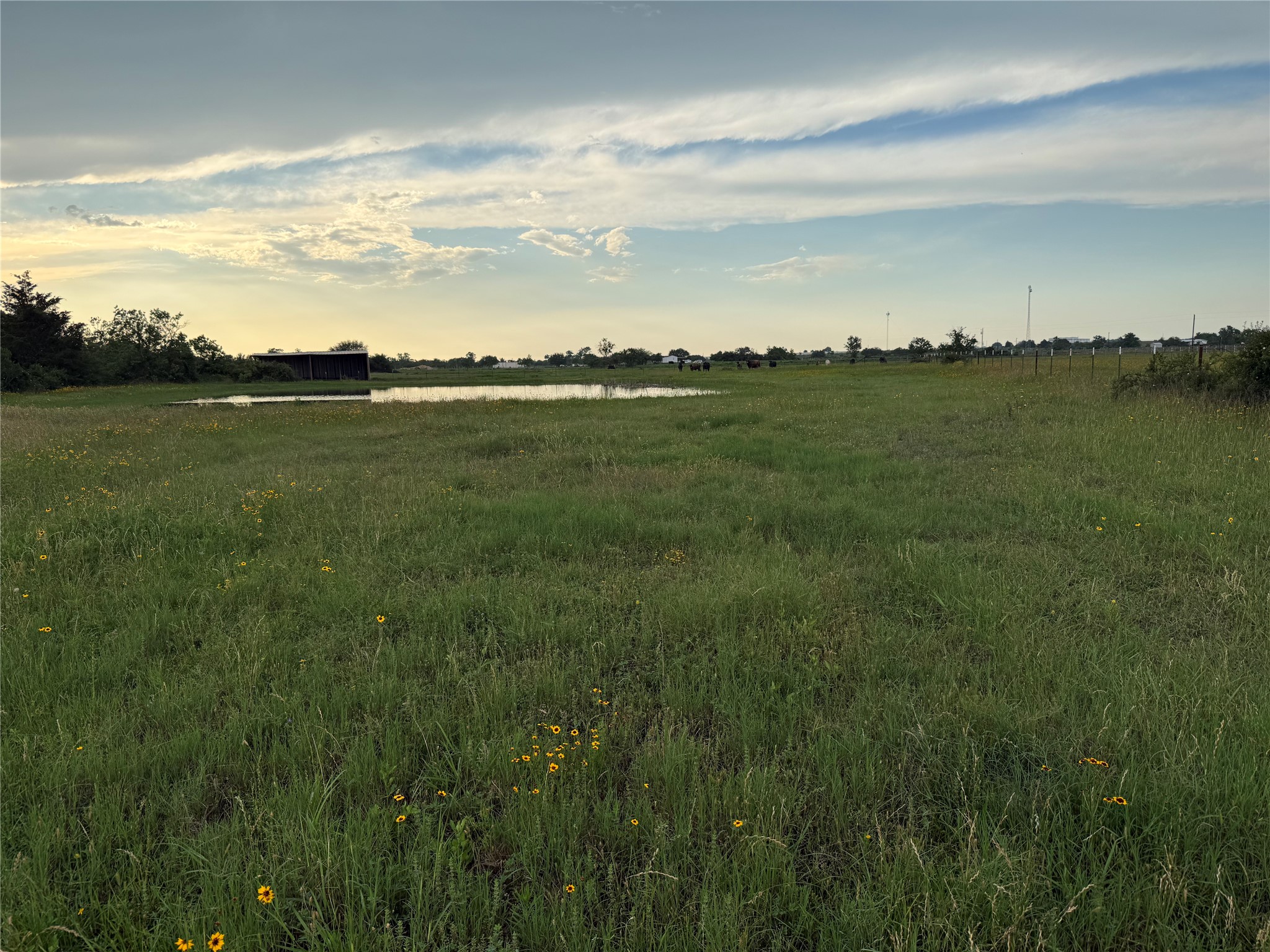 1240 Crooked Road Cat Spring, TX 78933 - Photo 18 of 20