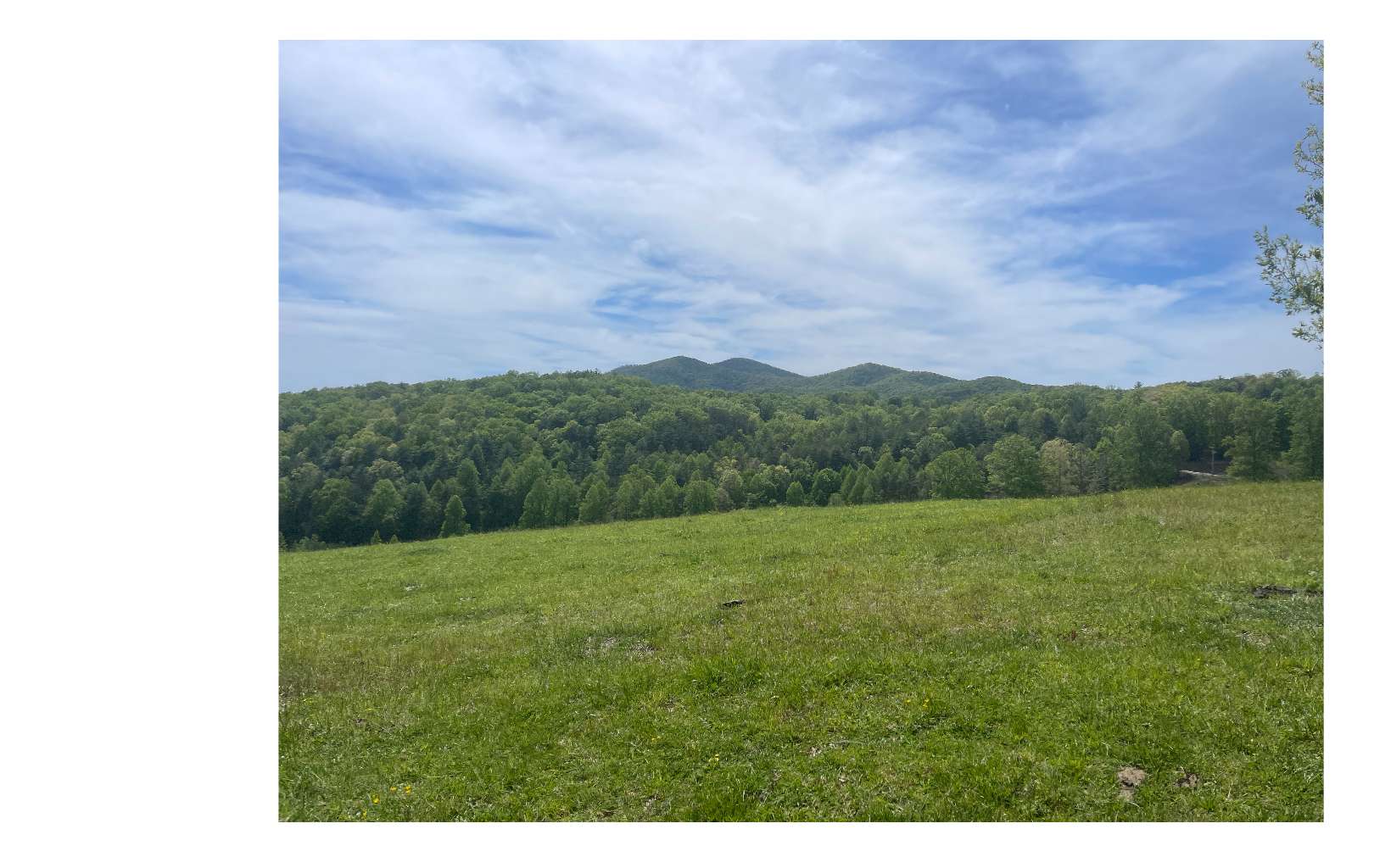 0 Haley Cierra Drive Murphy, NC 28906 - Photo 8 of 9 Additional View