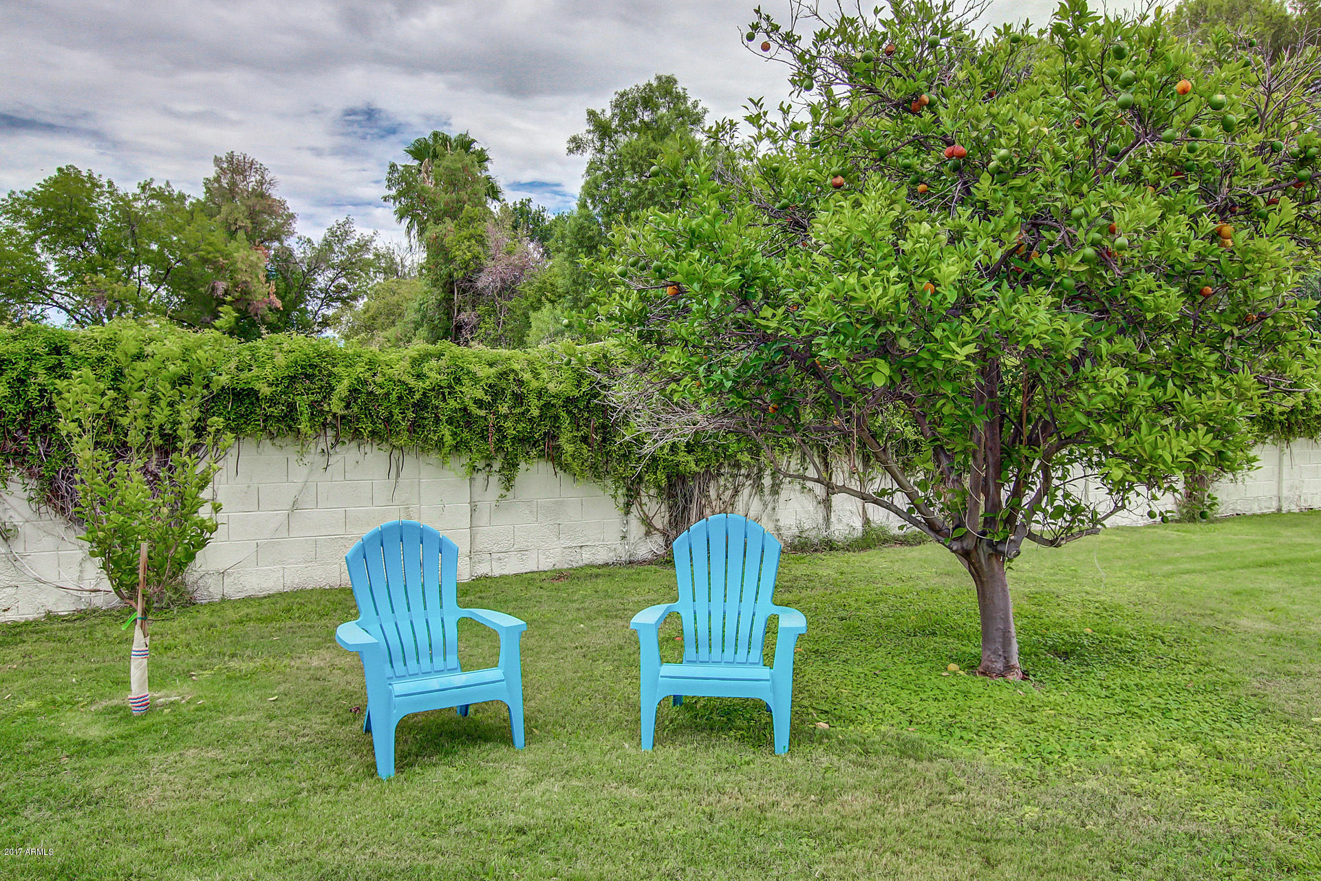 1068 East El Freda Road Tempe, AZ 85284 - Photo 113 of 124 0107-El Freda (57)