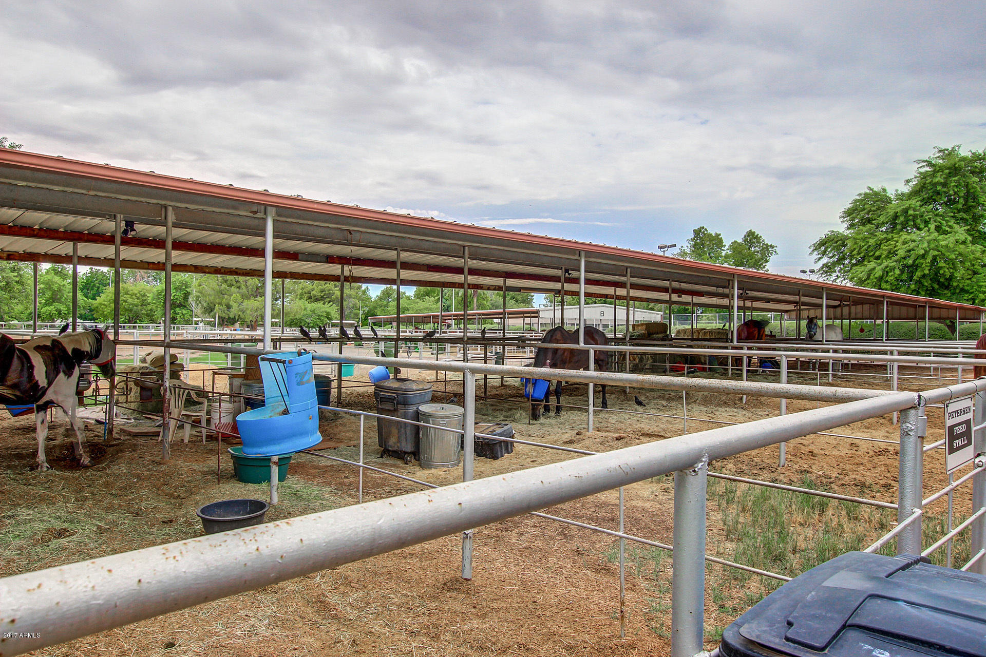 1068 East El Freda Road Tempe, AZ 85284 - Photo 53 of 124 0111-El Freda (61)