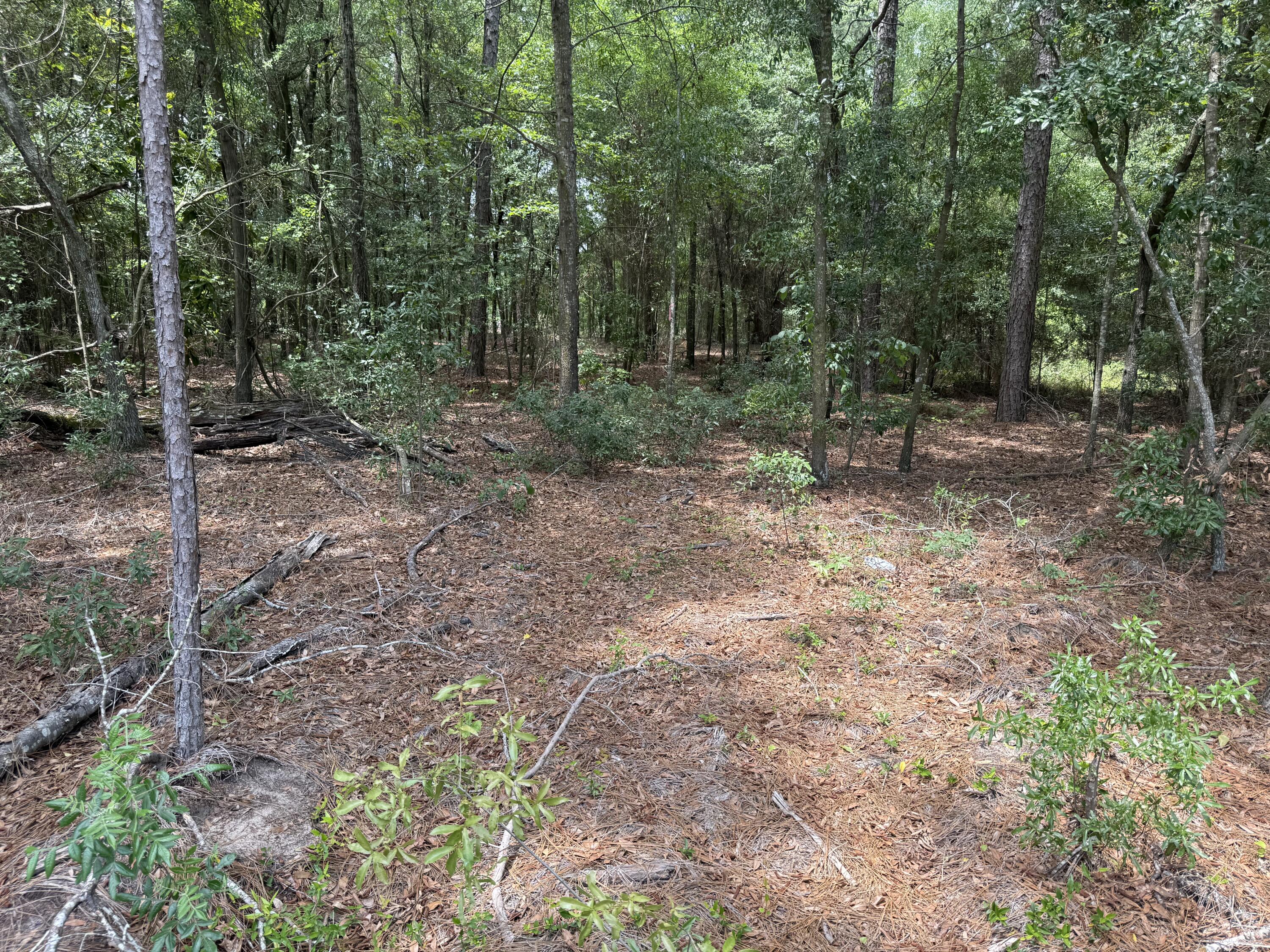 4 Rainbow Drive, Unit QAF 4 Salley, SC 29137 - Photo 1 of 9 QAF9