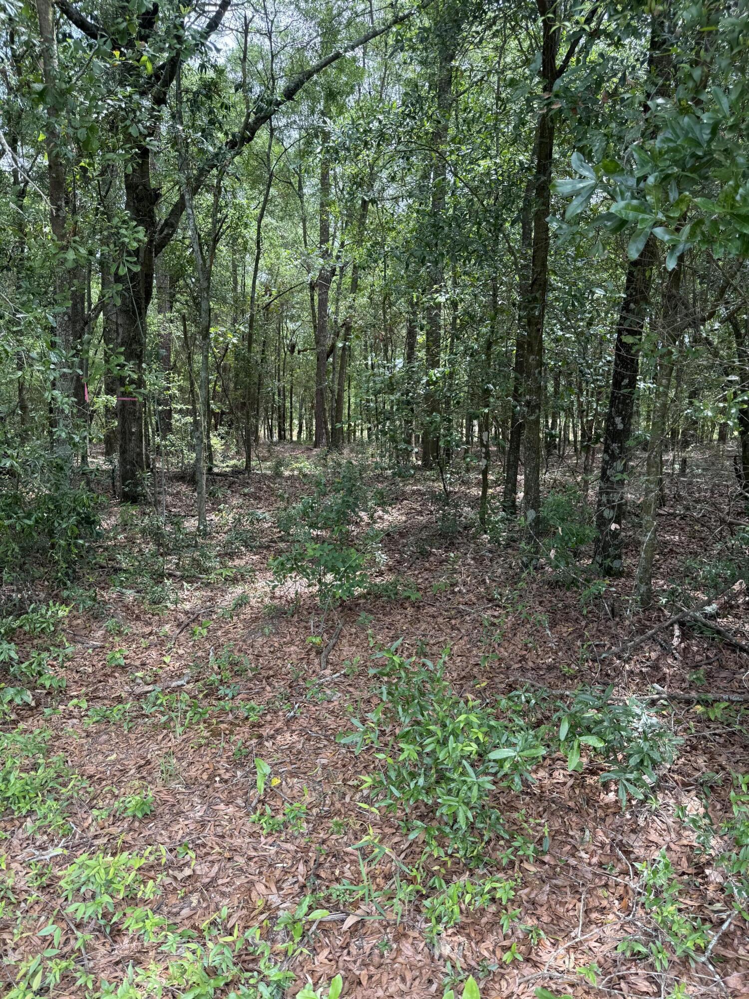 4 Rainbow Drive, Unit QAF 4 Salley, SC 29137 - Photo 3 of 9 QAF7