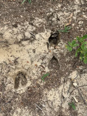 $38,900 | 4 Rainbow Drive, Unit QAF 4, Salley, SC 29137