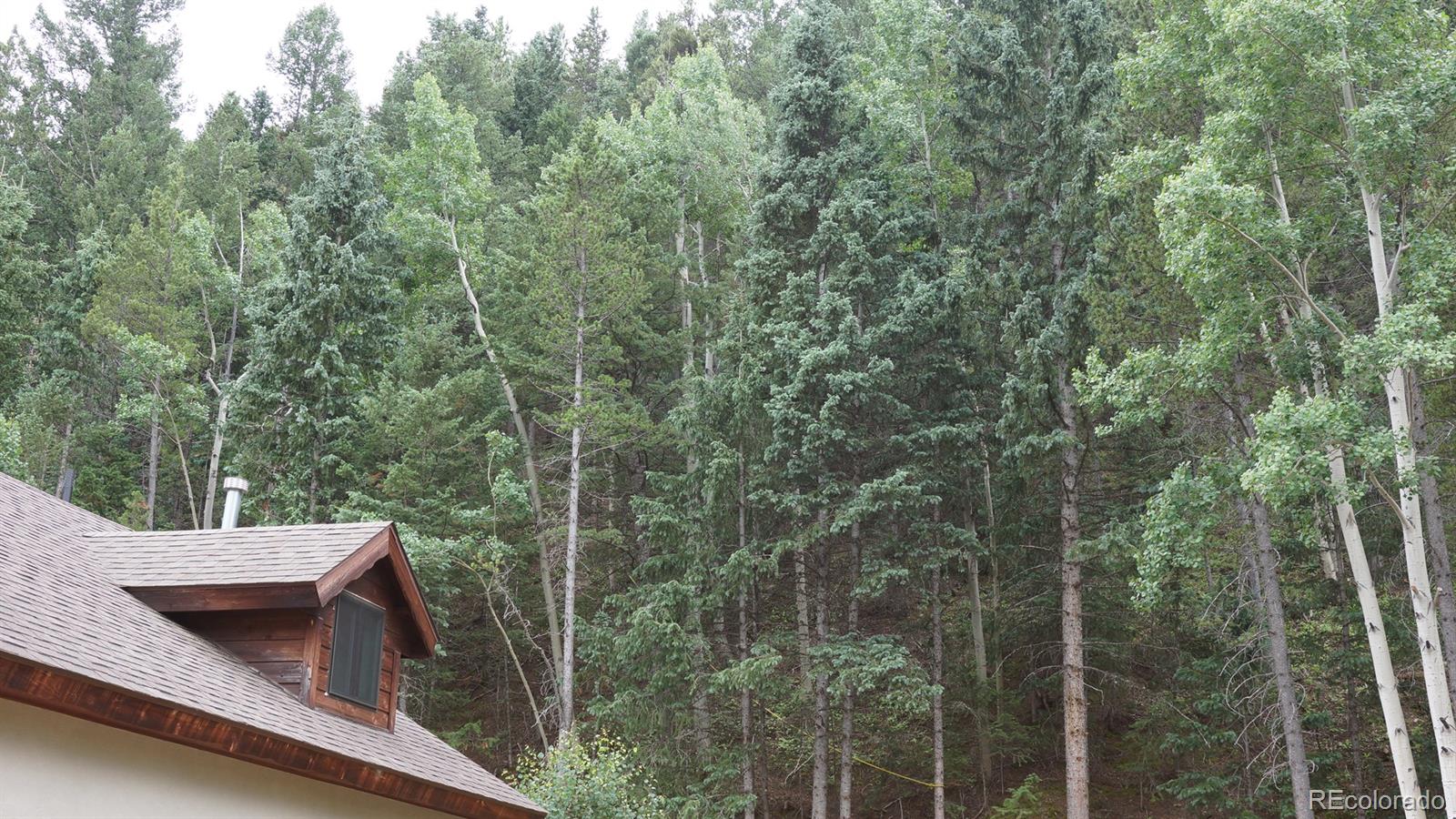 884 Apex Valley Road Black Hawk, CO 80422 - Photo 29 of 30 Gallery Image 29