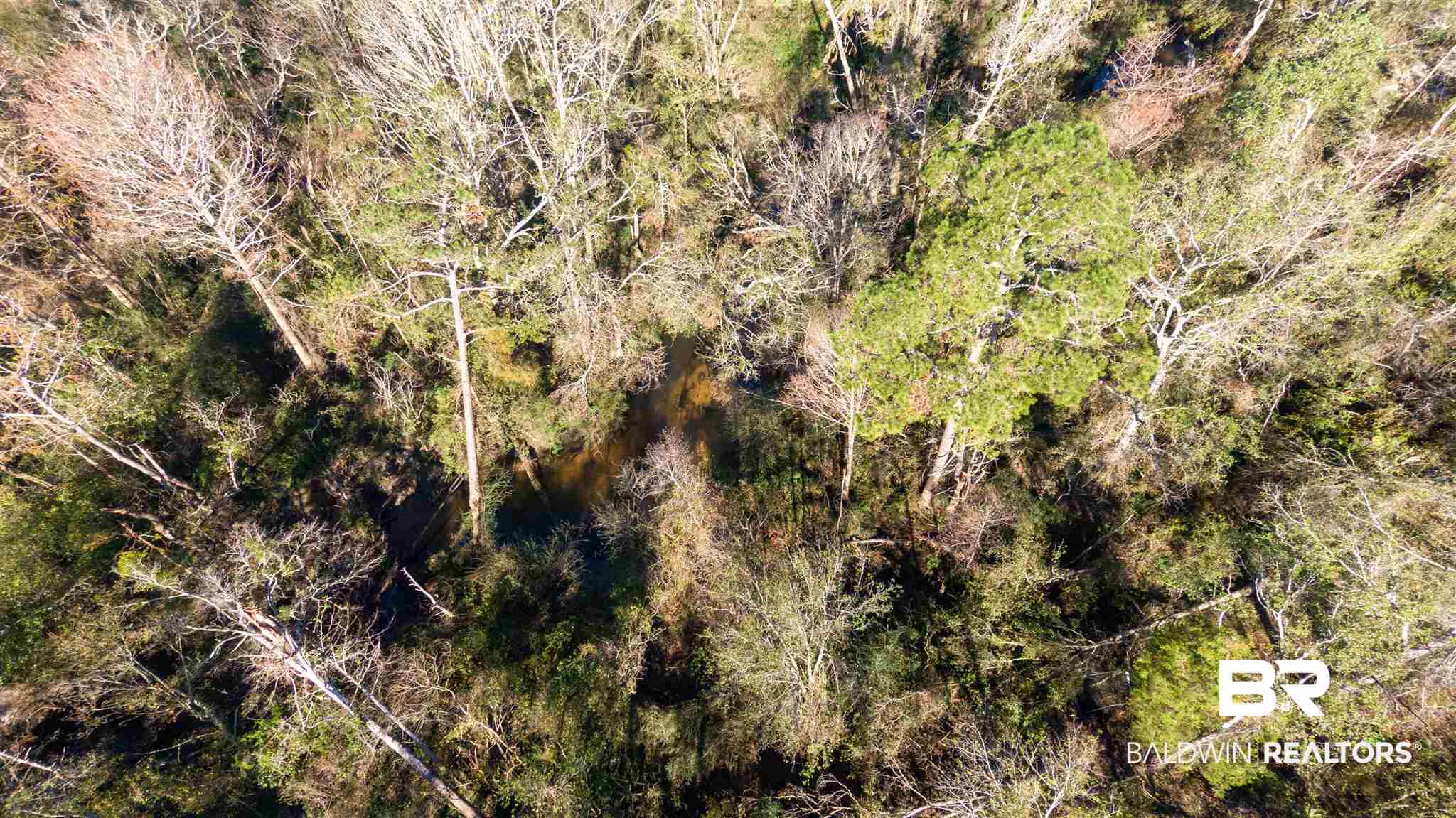 0 McPhillips Road Loxley, AL 36551 - Photo 22 of 27