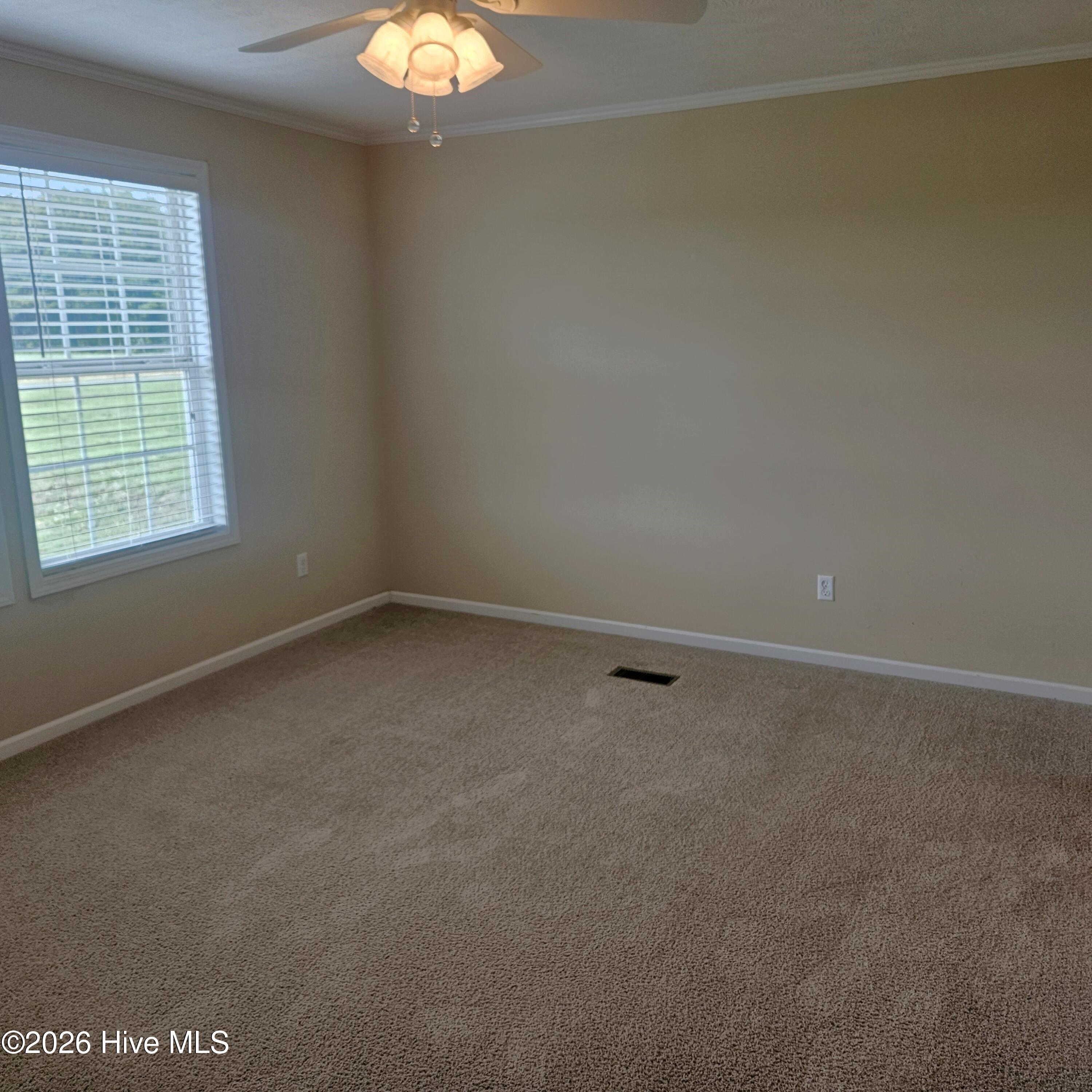 563 Daniels Road Corapeake, NC 27926 - Photo 10 of 54 Gallery Image 10