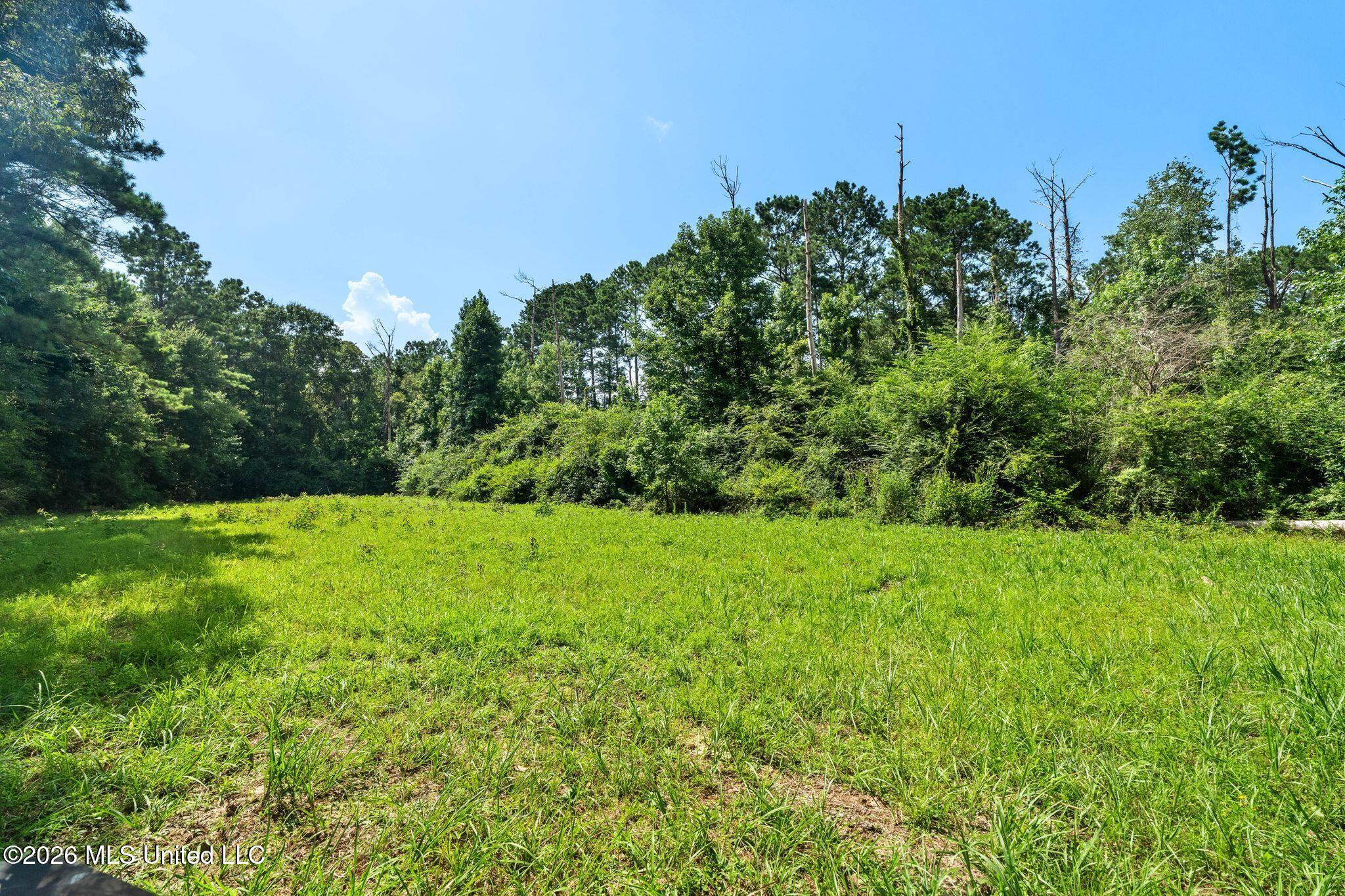 2111 Old Brookhaven Road Summit, MS 39666 - Photo 81 of 102 2111_Old_Brookhaven_Rd-105