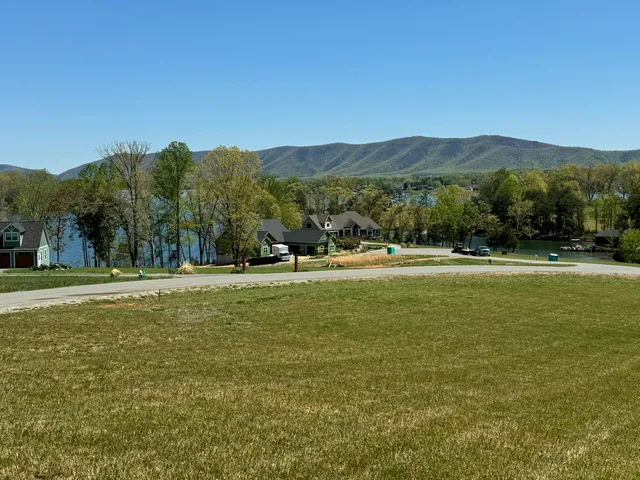 a view of green field with mountains in the background
