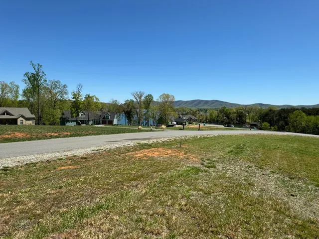 a view of a green field