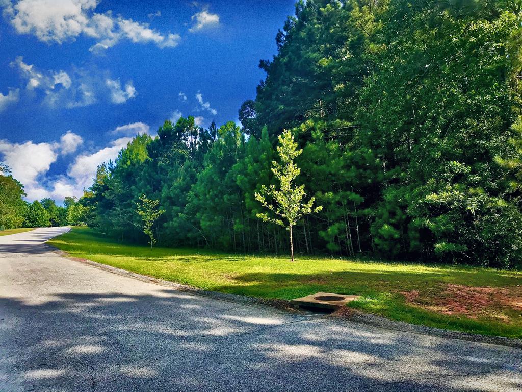 114 Friendfield Lane Greenwood, SC 29649 - Photo 1 of 3 Gallery Image 1