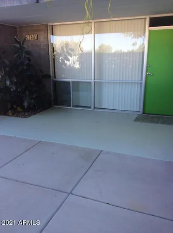 a view of a yard with plants