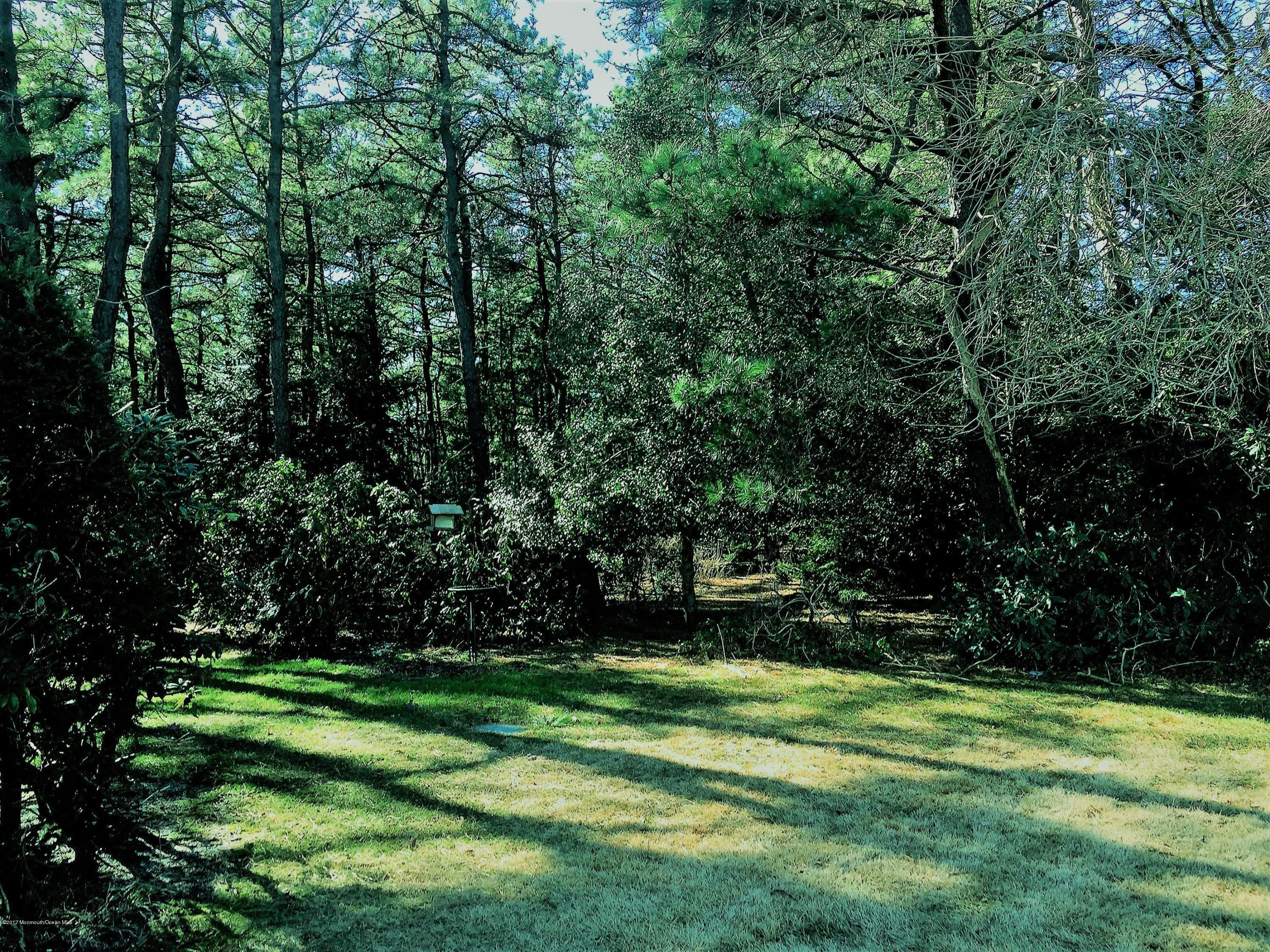 1 Medford Road Whiting, NJ 08759 - Photo 2 of 17 Backyard