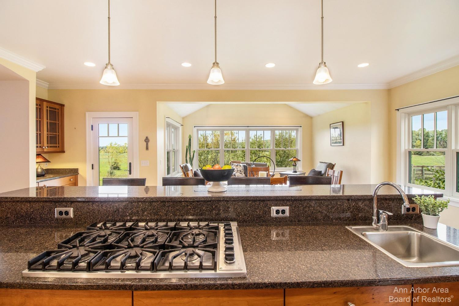 9088 West Liberty Road Ann Arbor, MI 48103 - Photo 16 of 52 Photo 16