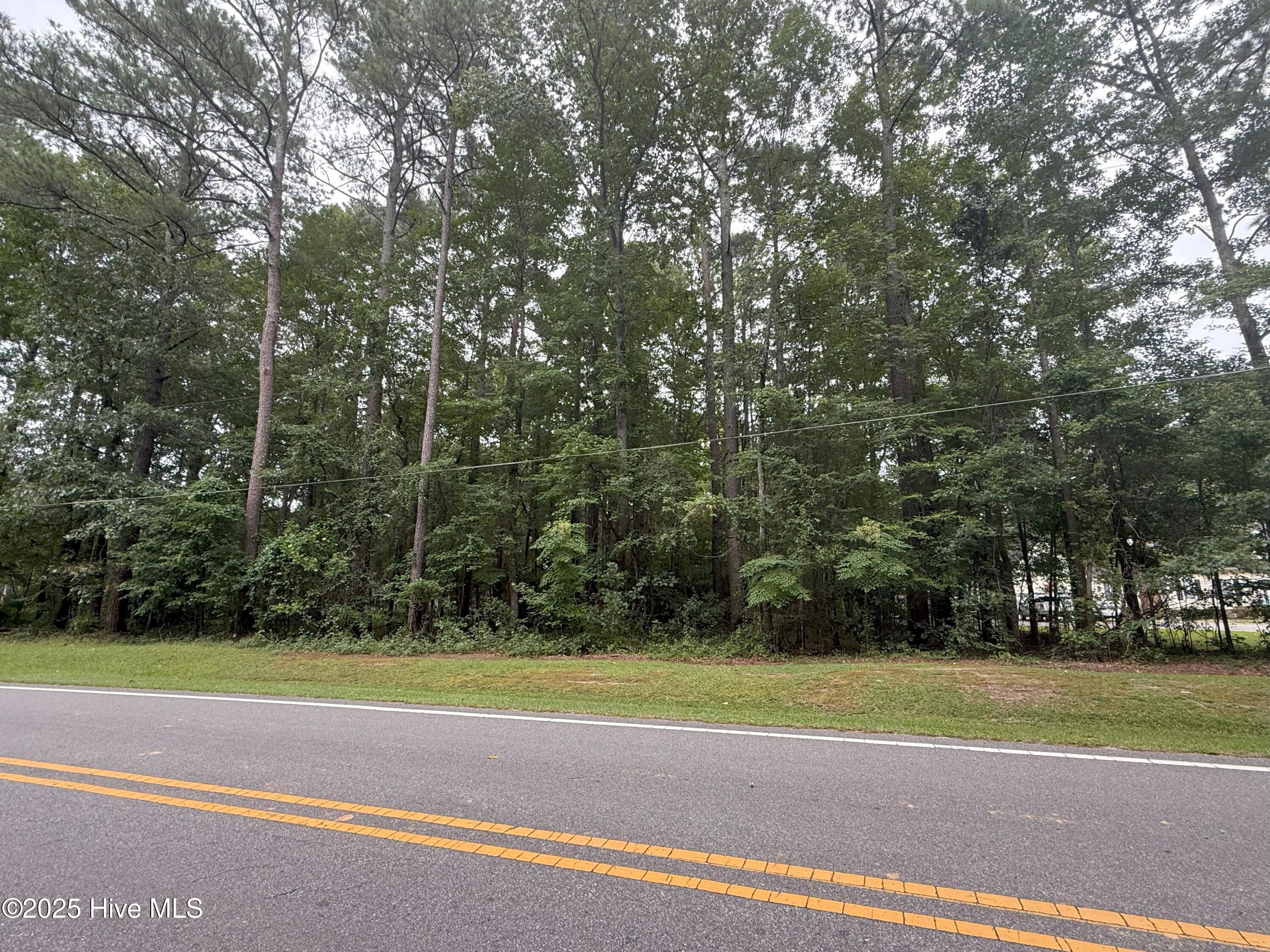 Lot #5 Roxie Reese Road Plymouth, NC 27962 - Photo 4 of 9 rrrd3
