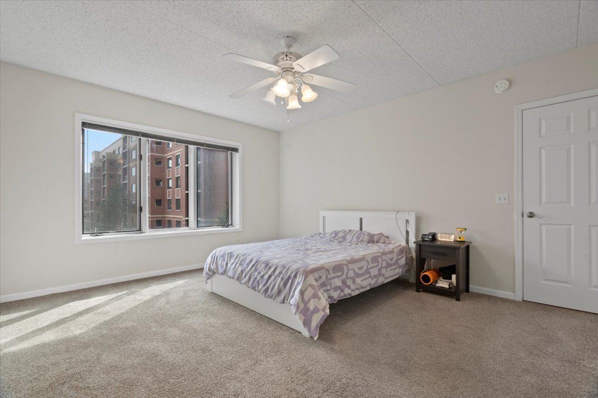 5 West Central Road, Unit 307 Mount Prospect, IL 60056 - Photo 11 of 27 Gallery Image 11