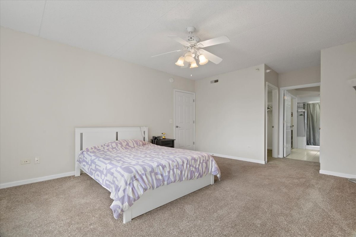 5 West Central Road, Unit 307 Mount Prospect, IL 60056 - Photo 12 of 27 Gallery Image 12