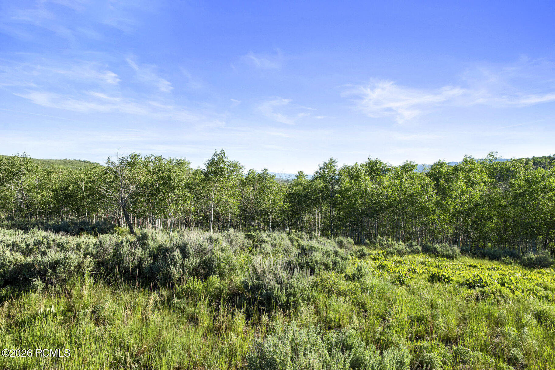 17017 Ant Flat Road Huntsville, UT 84317 - Photo 88 of 108