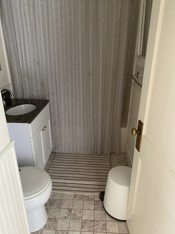 44 Webster Street, Unit 1 Arlington, MA 02474 - Photo 14 of 15 a bathroom with a sink a toilet a rug and shower curtain
