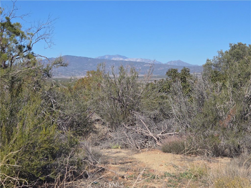 0 Taron Trail Anza, CA 92539 - Photo 3 of 14