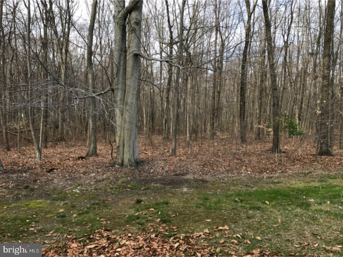 65 Warwick Road West Windsor, NJ 08550 - Photo 22 of 25 Exterior Back