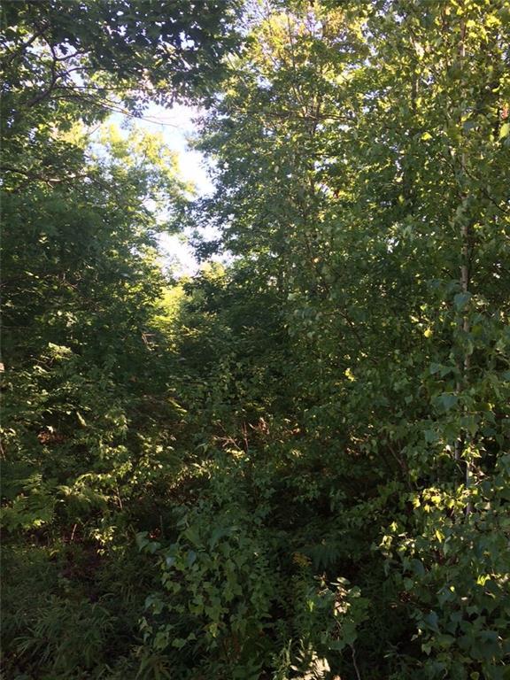 7 Ridgeview Road Harrison, ME 04040 - Photo 3 of 5 Lots of tree growth so you can tuck...