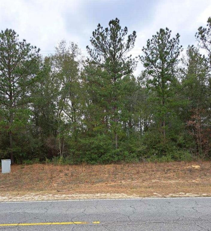 0 Smith Road Southeast, Unit 7 Townsend, GA 31331 - Photo 1 of 1