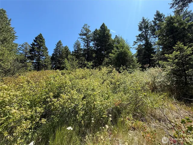 a view of a house with a tree