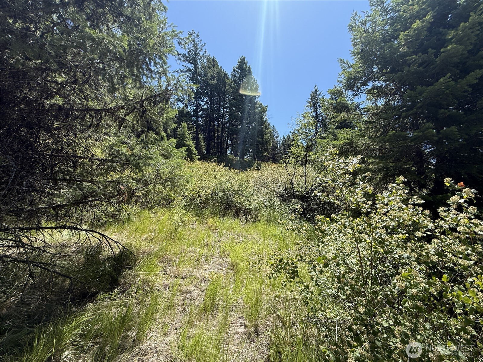 135 Slippery Hill Lane Republic, WA 99166 - Photo 3 of 14 a view of a garden