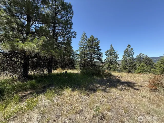 a view of a water pond with green space