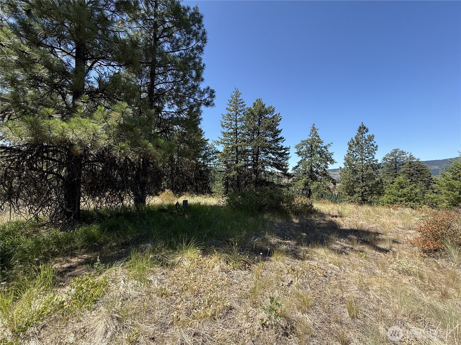 135 Slippery Hill Lane Republic, WA 99166 - Photo 7 of 14 a view of a water pond with green space