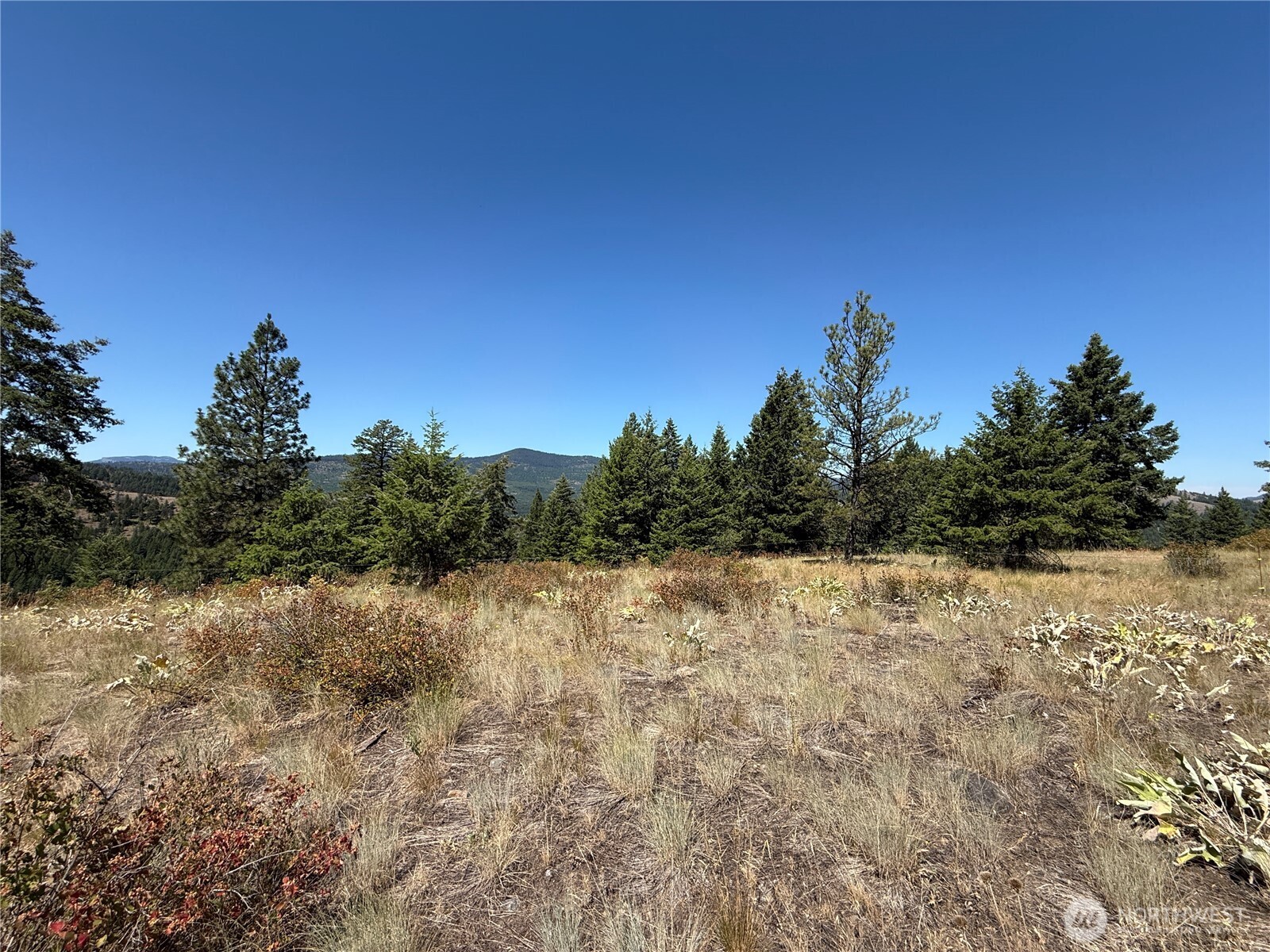 135 Slippery Hill Lane Republic, WA 99166 - Photo 8 of 14 a view of a lake view