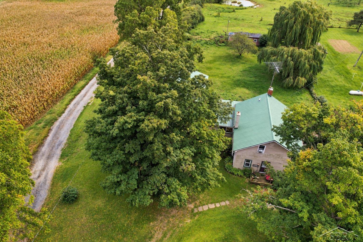 1751 West Card Road Hillsdale, MI 49242 - Photo 9 of 13 50222787-7b184f70-681f-4303-be2c-5504b66cb469.JPG